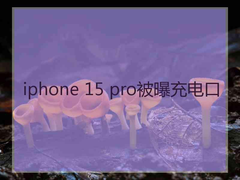 iphone 15 pro被曝充电口