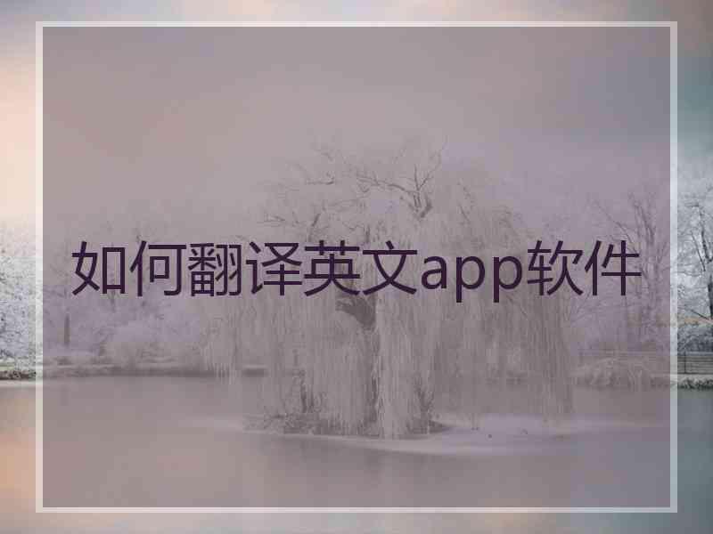 如何翻译英文app软件