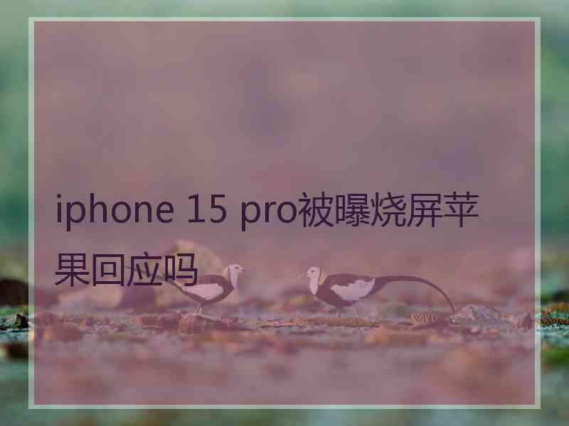 iphone 15 pro被曝烧屏苹果回应吗