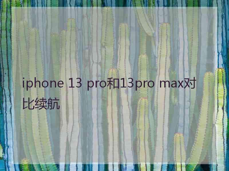 iphone 13 pro和13pro max对比续航