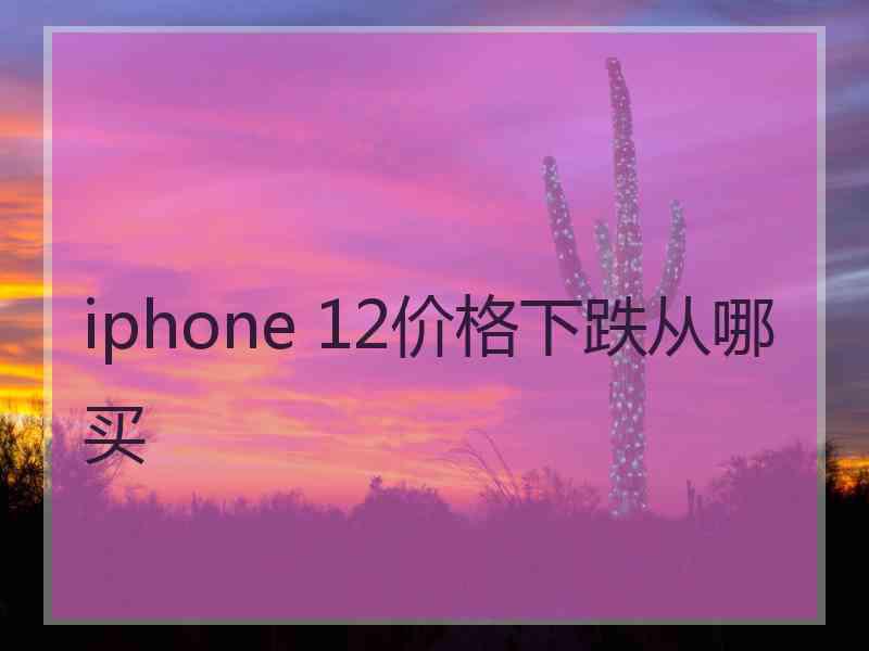 iphone 12价格下跌从哪买