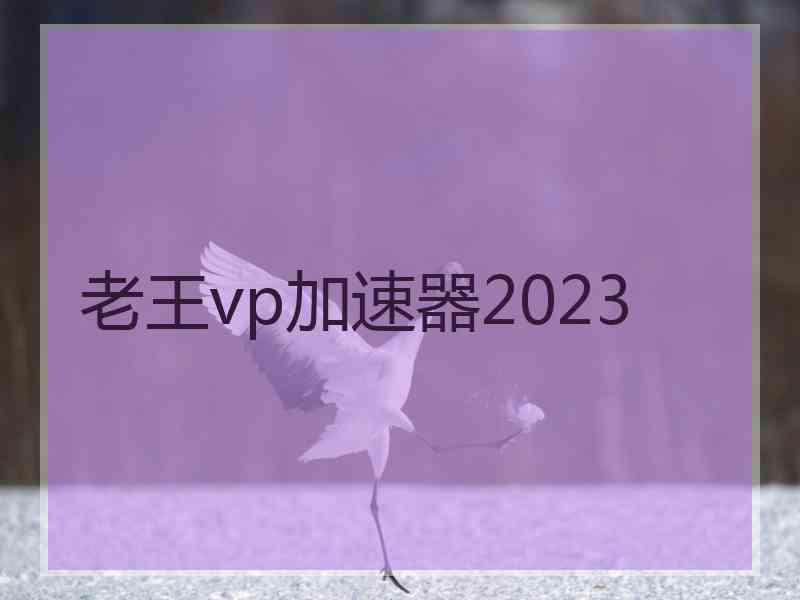 老王vp加速器2023