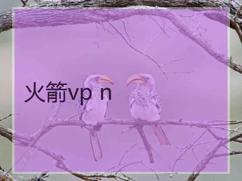 火箭vp n