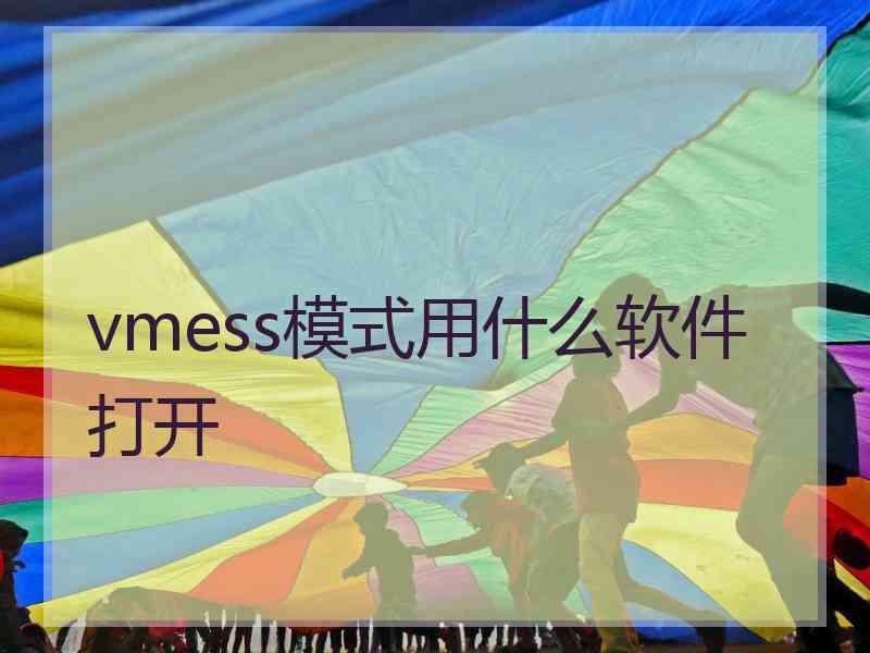 vmess模式用什么软件打开