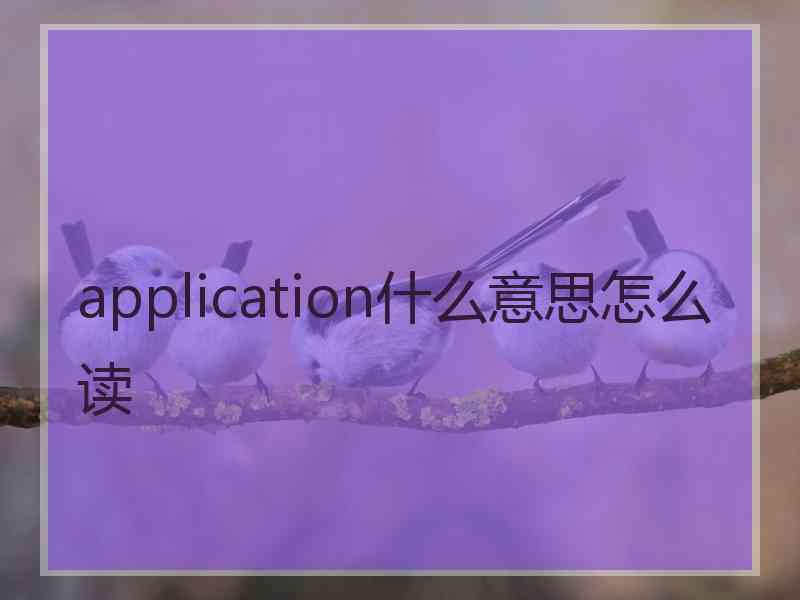 application什么意思怎么读