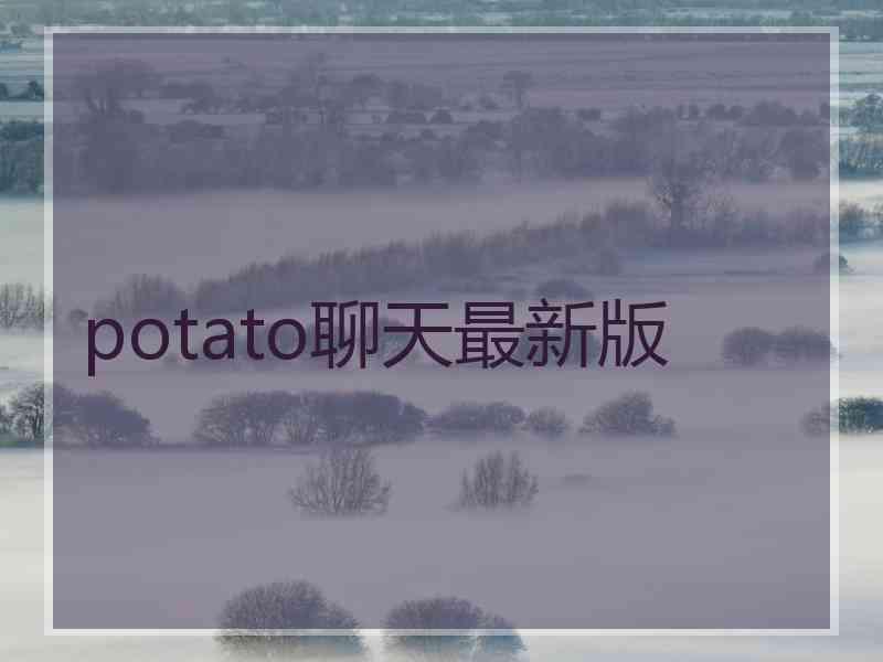 potato聊天最新版