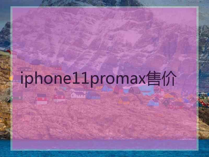 iphone11promax售价