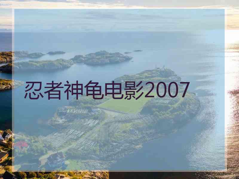 忍者神龟电影2007