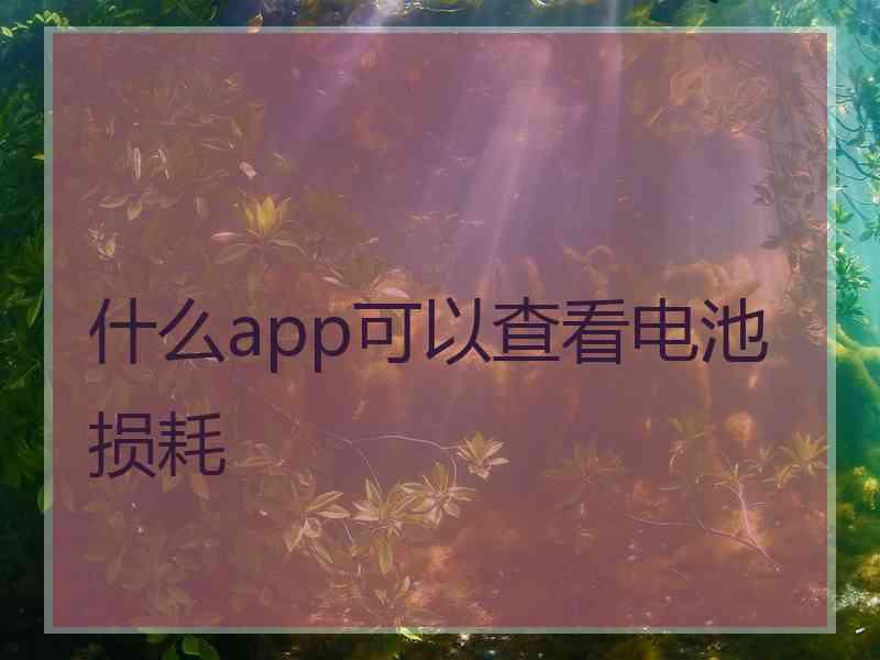 什么app可以查看电池损耗