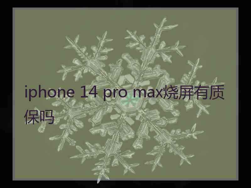 iphone 14 pro max烧屏有质保吗