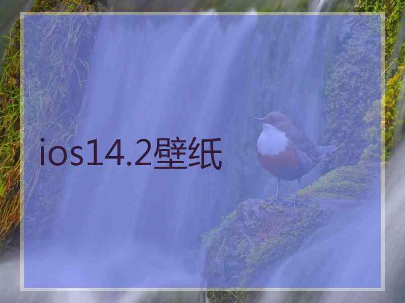 ios14.2壁纸