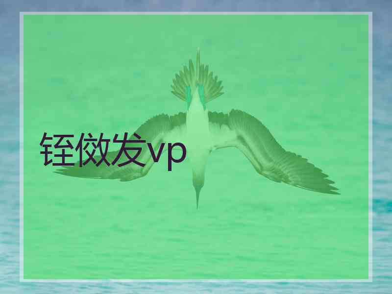 铚傚发vp