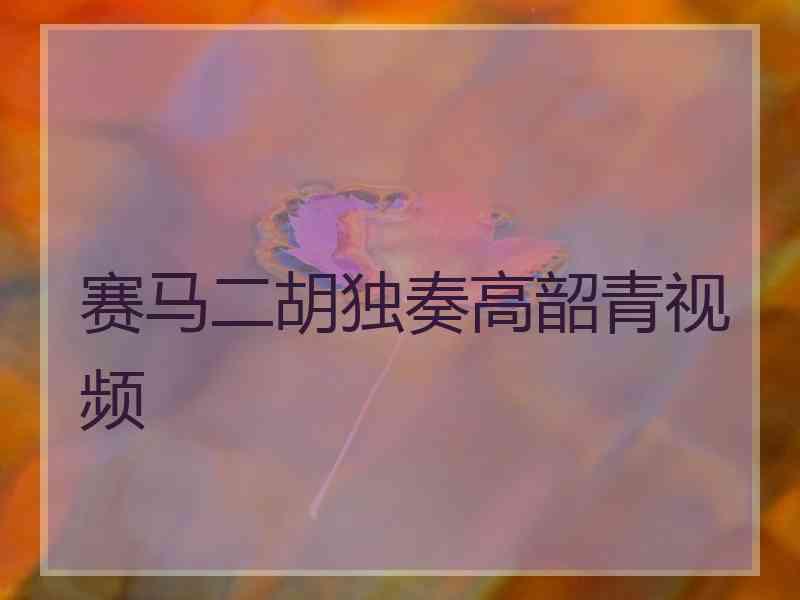 赛马二胡独奏高韶青视频