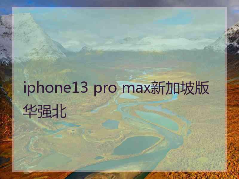 iphone13 pro max新加坡版华强北