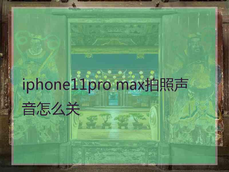 iphone11pro max拍照声音怎么关