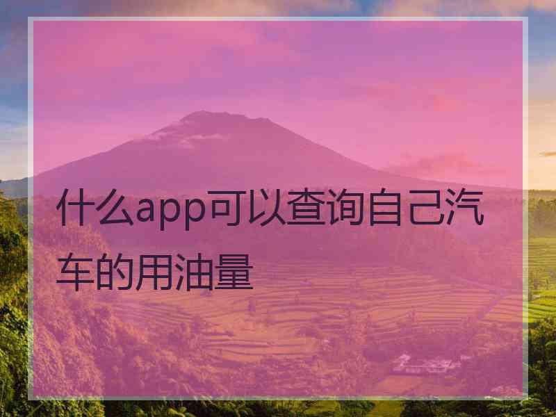 什么app可以查询自己汽车的用油量