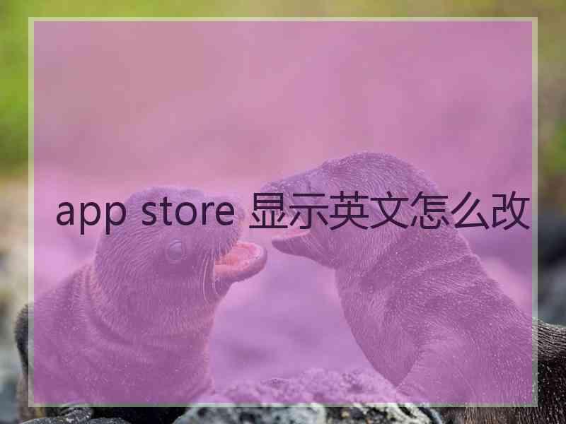 app store 显示英文怎么改