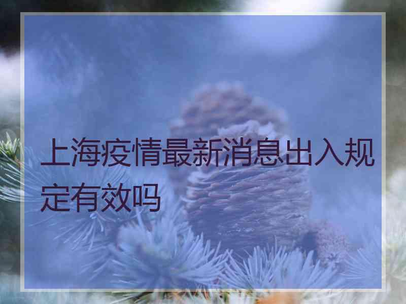 上海疫情最新消息出入规定有效吗