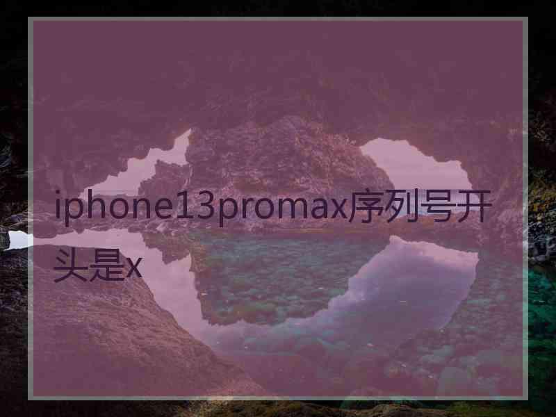 iphone13promax序列号开头是x