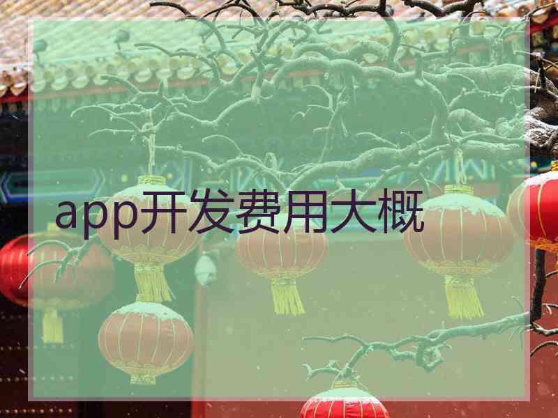 app开发费用大概