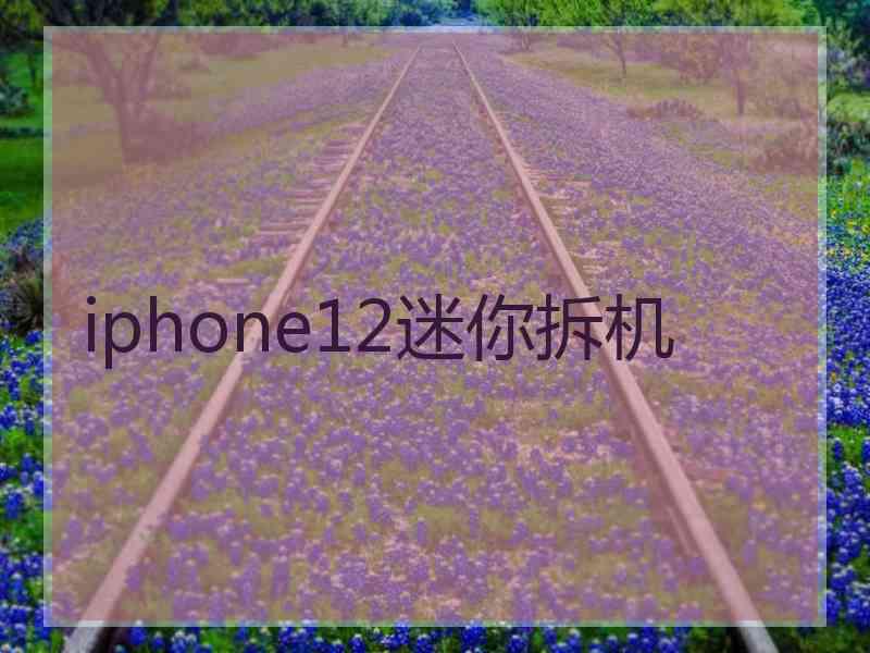 iphone12迷你拆机