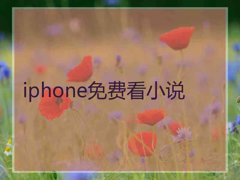 iphone免费看小说