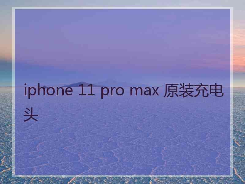 iphone 11 pro max 原装充电头