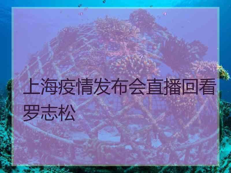 上海疫情发布会直播回看罗志松