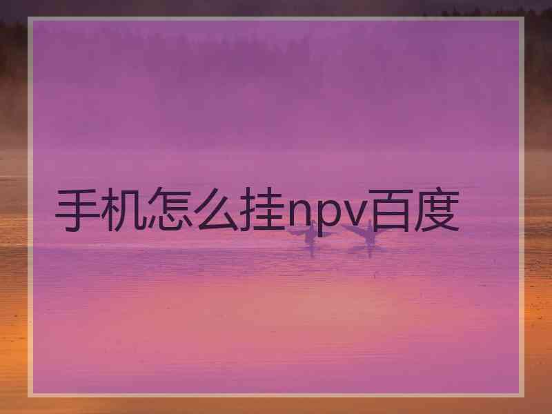 手机怎么挂npv百度