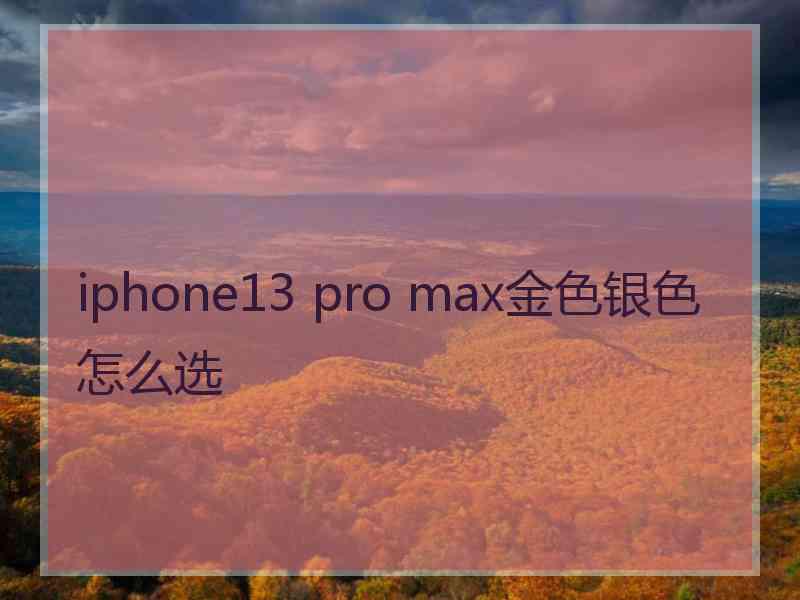 iphone13 pro max金色银色怎么选