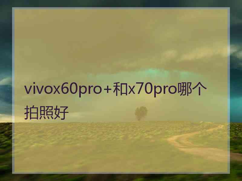 vivox60pro+和x70pro哪个拍照好