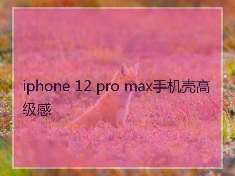 iphone 12 pro max手机壳高级感