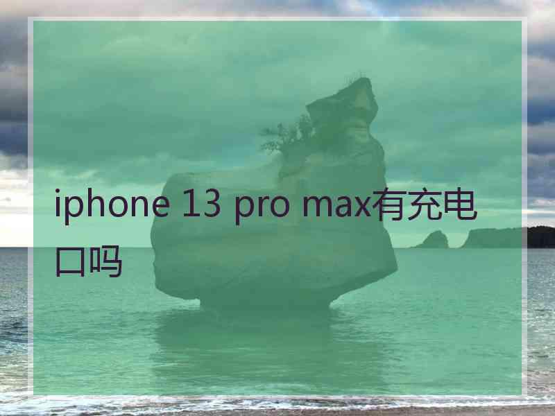 iphone 13 pro max有充电口吗