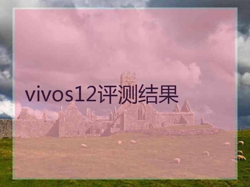 vivos12评测结果