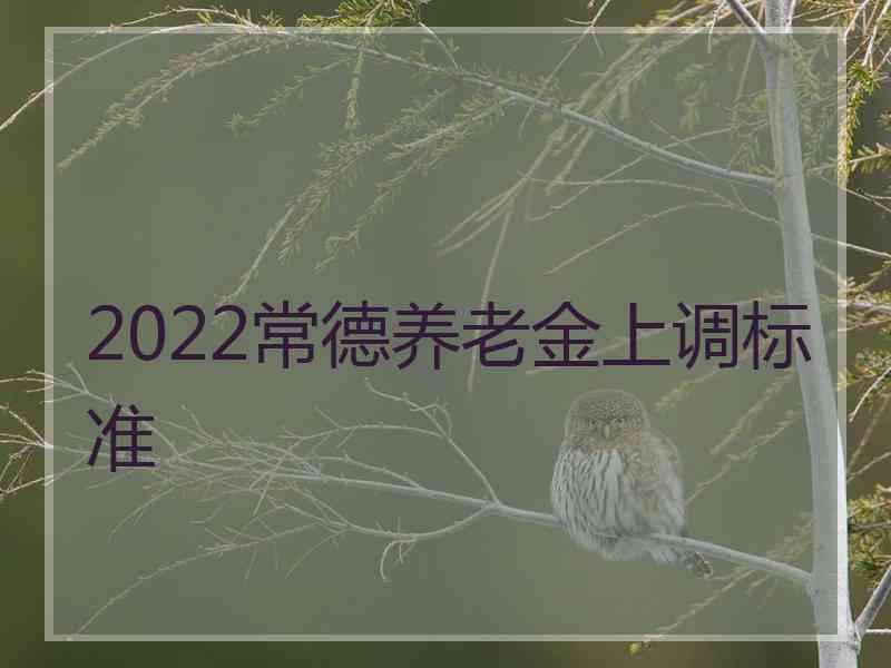 2022常德养老金上调标准