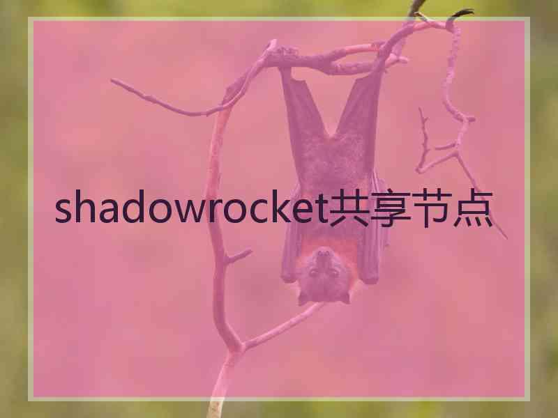 shadowrocket共享节点