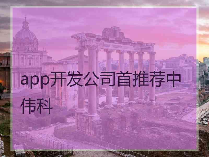 app开发公司首推荐中伟科