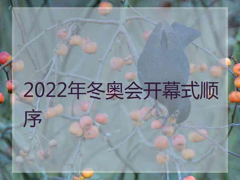 2022年冬奥会开幕式顺序