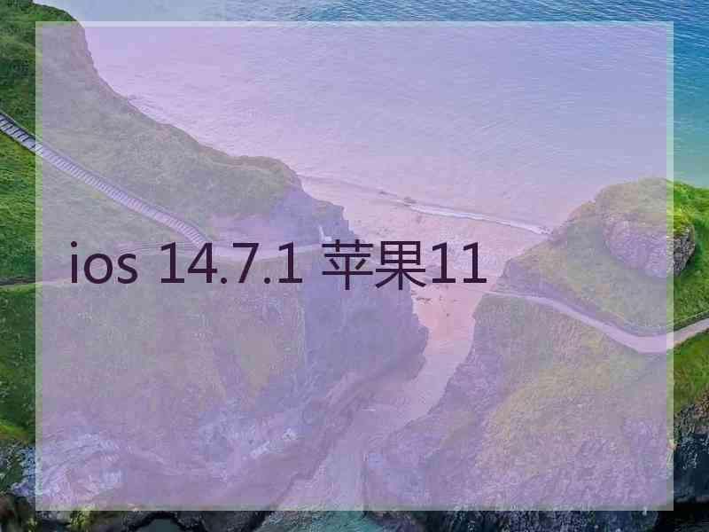 ios 14.7.1 苹果11