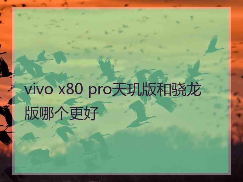 vivo x80 pro天玑版和骁龙版哪个更好