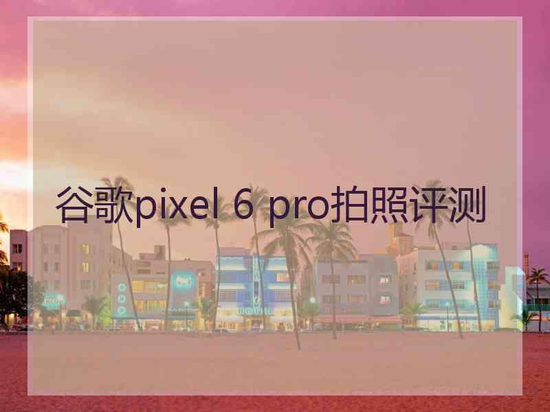 谷歌pixel 6 pro拍照评测