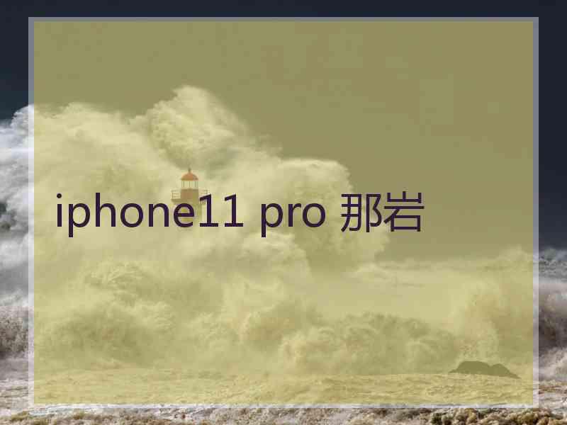 iphone11 pro 那岩