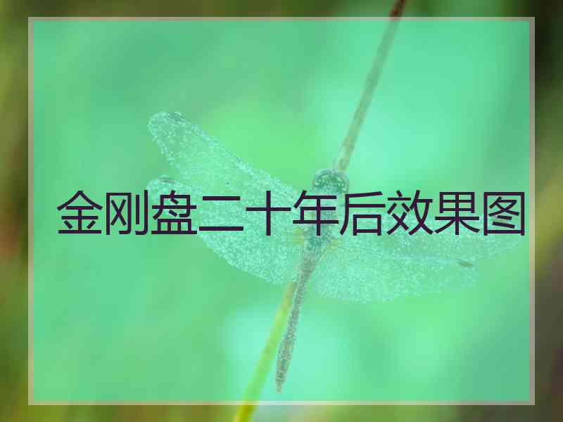 金刚盘二十年后效果图