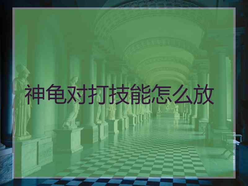 神龟对打技能怎么放