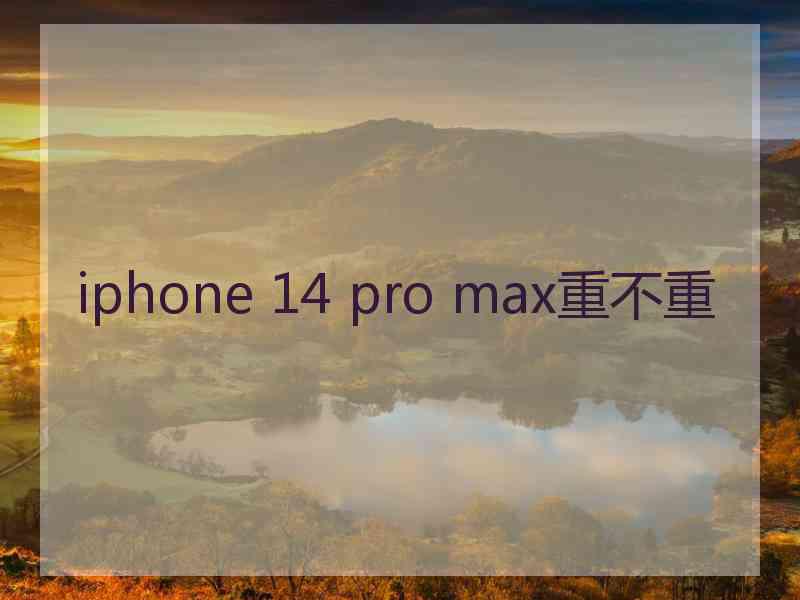 iphone 14 pro max重不重