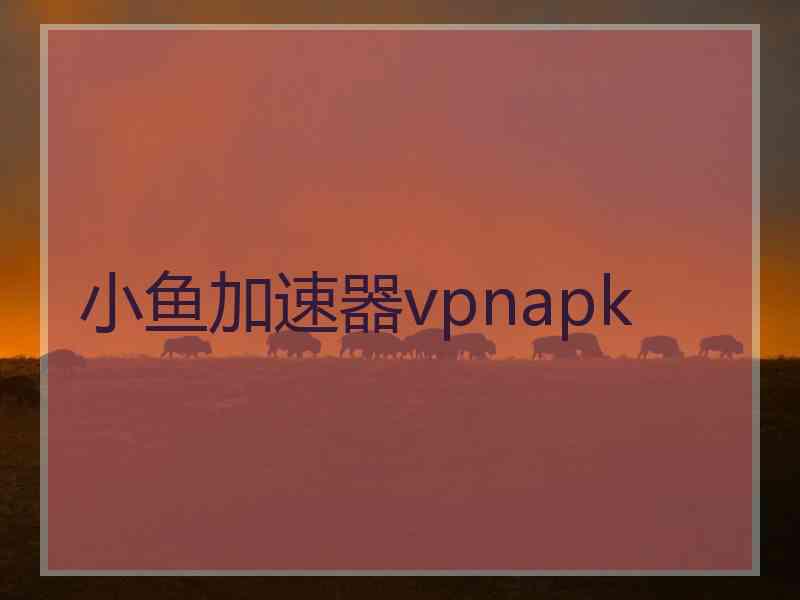 小鱼加速器vpnapk