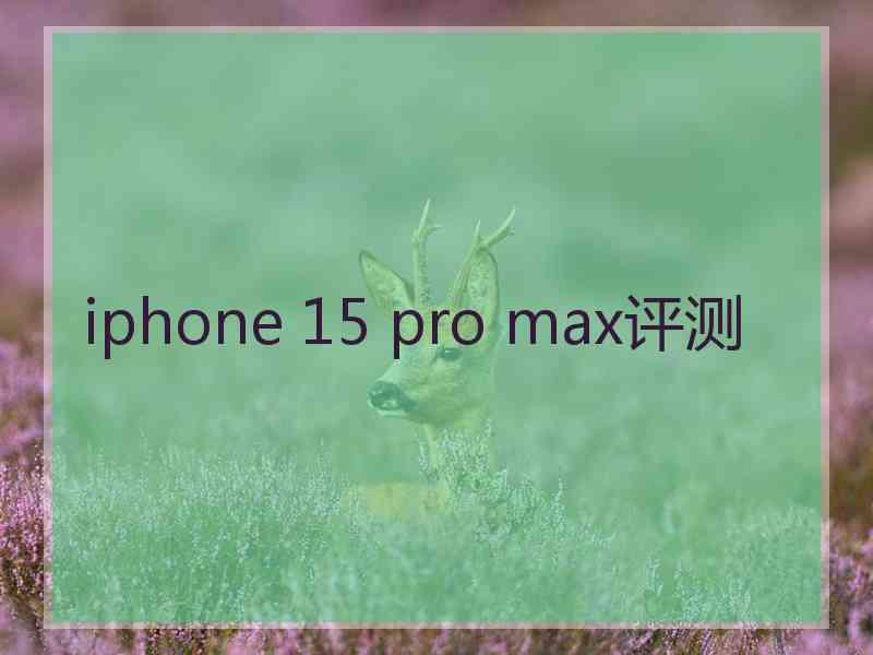 iphone 15 pro max评测