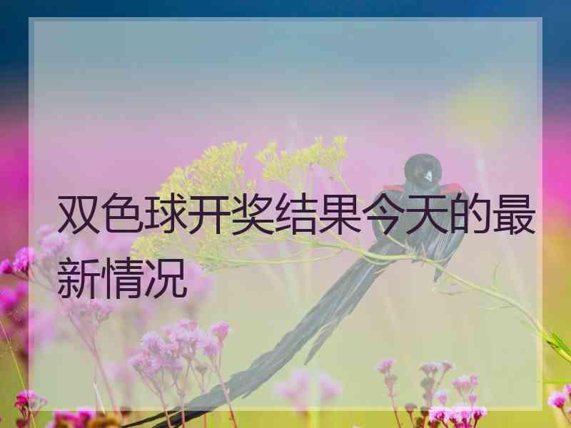 双色球开奖结果今天的最新情况