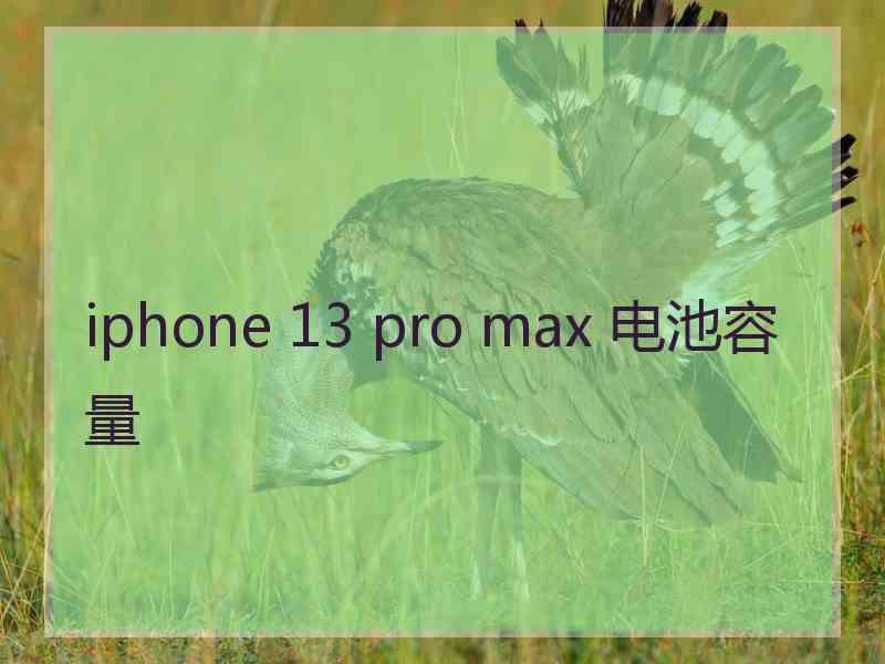 iphone 13 pro max 电池容量