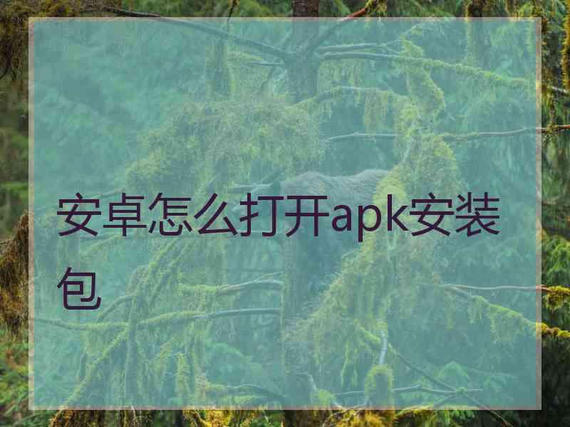 安卓怎么打开apk安装包